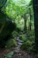 /album/fotogalerie-waikato/wairere-falls-walk-2-jpg/